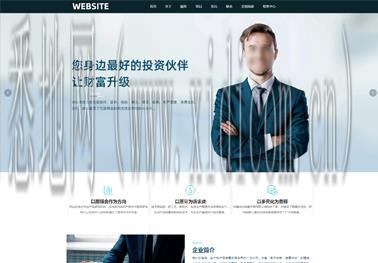 企业宣传网站