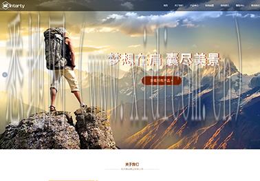 网站运营