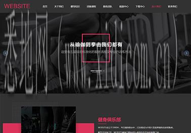 公司网站建设