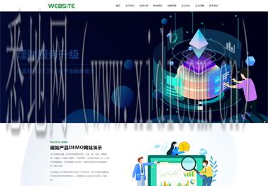 网站建设专家