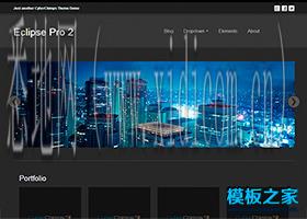 青岛网站建设公司