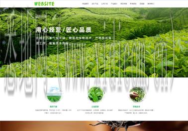 大型网站建设