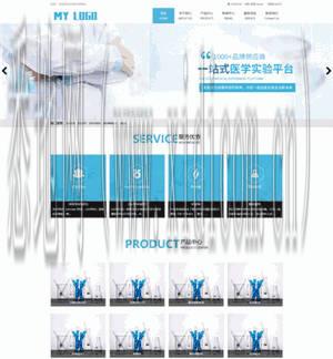 网站建设制作