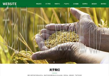 银川网站建设