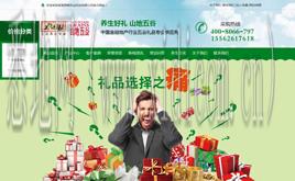 英文网站建设