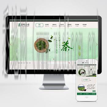 长沙网站建设公司
