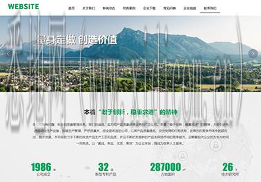 网站建设模板