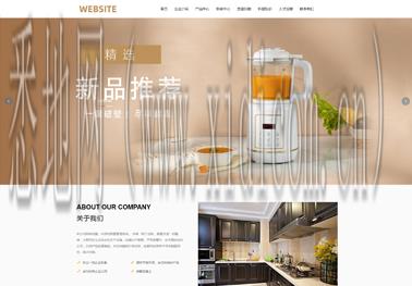 网站建设特点