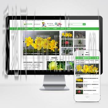 湛江网站建设公司
