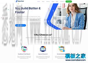 营销型网站建设