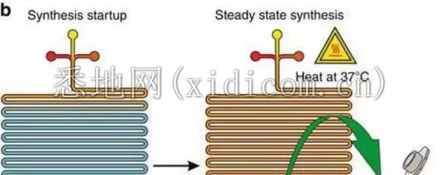 医疗芯片的特殊战争：从微流体技术的新突破说起