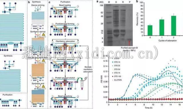 医疗芯片的特殊战争：从微流体技术的新突破说起