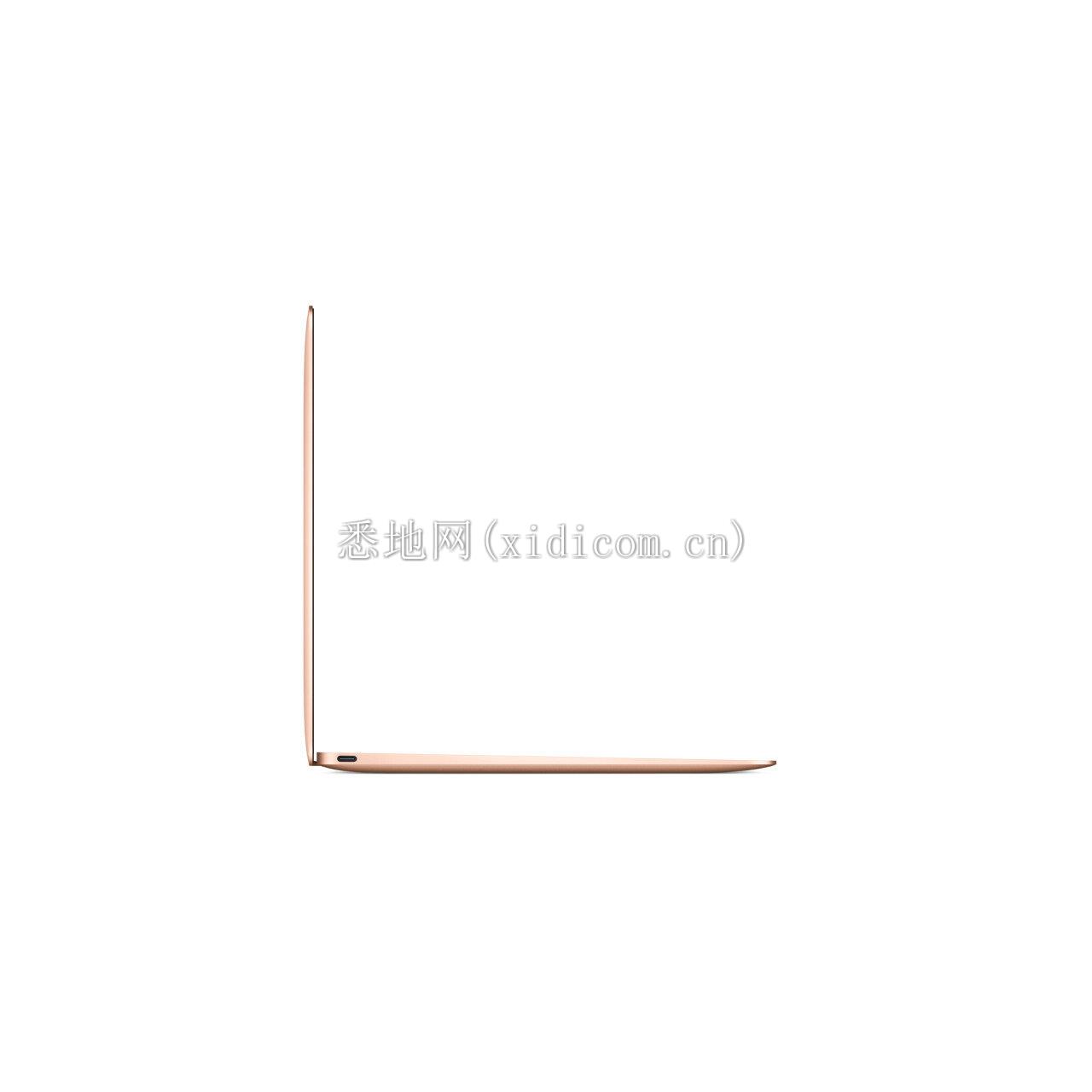 rfb-macbook-gold-select-201901_AV3.jpg