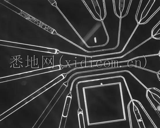 医疗芯片的特殊战争：从微流体技术的新突破说起