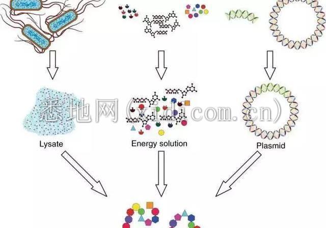 医疗芯片的特殊战争：从微流体技术的新突破说起