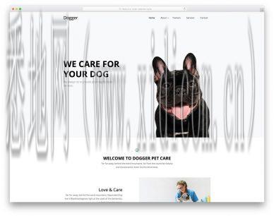 重庆网站建设价格