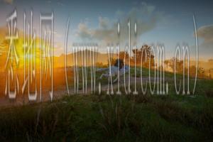 企业网站建设公司