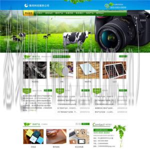 廊坊网站建设价格