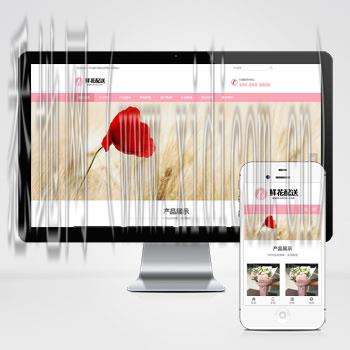 网站建设计划书