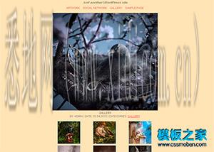 工业企业网站建设