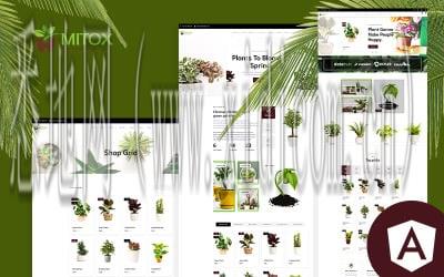 周口网站建设价格