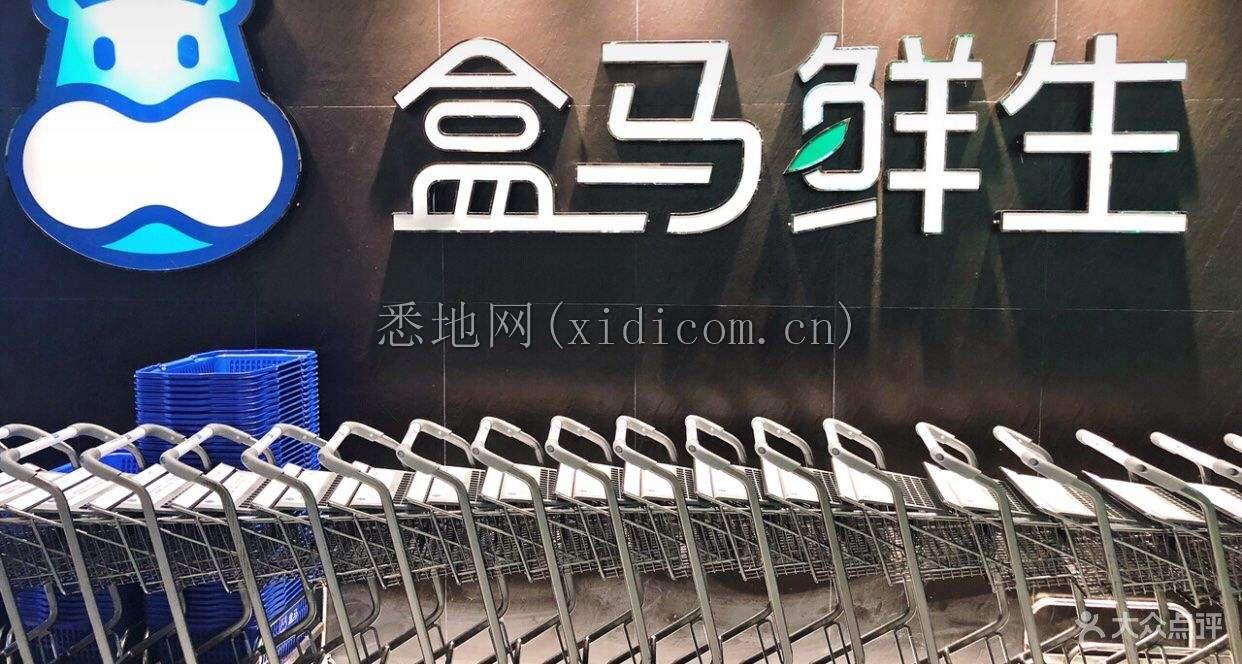 盒马们的十字路口1.png